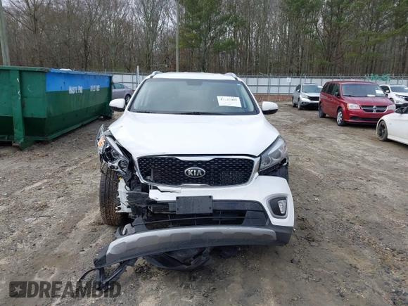 2017 Kia Sorento EX with VIN 5XYPH4A13HG294599, listed as a IAAI auction lot 41207089 with 41,642 mi miles and . Bid and sale history available at DreamBid. Image 12.