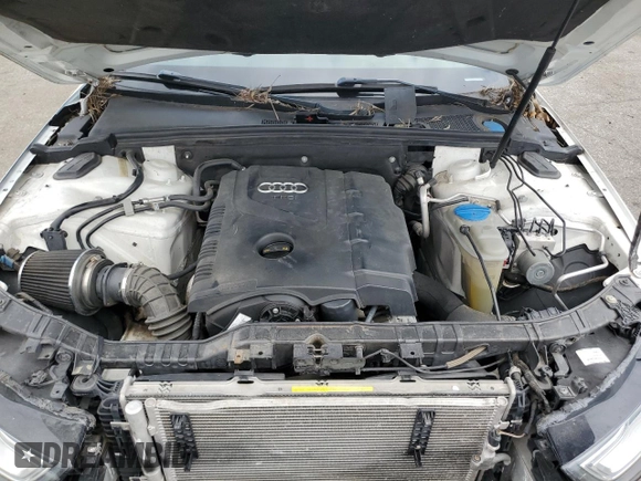 2013 Audi A4 Premium Plus with VIN WAUFFAFL1DN005598, listed as a Copart auction lot 53905355 with 119,687 mi miles and Clean Title. Bid and sale history available at carsss.com. Image 11.