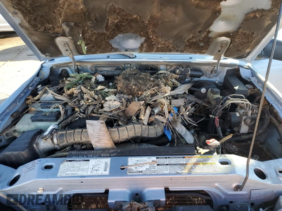 1998 Ford Ranger XL with VIN 1FTZR15U9WPB18692, listed as a Copart auction lot 80965834 with Not Provided miles and Salvage Title. Bid and sale history available at DreamBid. Image 11.
