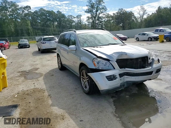 2009 Mercedes-Benz GL-Class 4.6L with VIN 4JGBF71E29A450066, listed as a Copart auction lot 73738034 with 108,285 mi miles and Salvage Title. Bid and sale history available at carsss.com. Image 12.