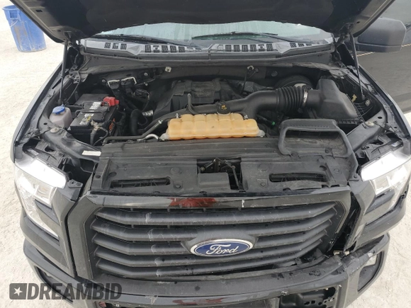 2017 Ford F-150 XL with VIN 1FTEX1CP4HKD67029, listed as a Copart auction lot 47726485 with 171,921 mi miles and Salvage Title. Bid and sale history available at carsss.com. Image 12.