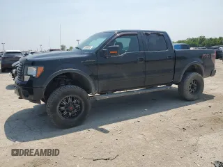 2012 Ford F-150 XL with VIN 1FTFW1EF7CFB59949, listed as a Copart auction lot 59999555 with 123,074 mi miles and Salvage title. Bid and sale history available at DreamBid. Image 1.