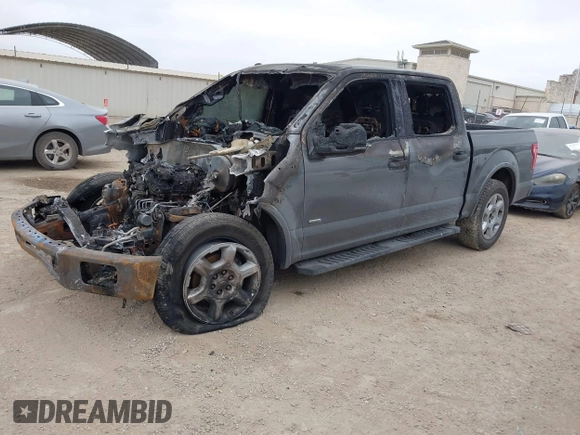 2016 Ford F-150 XL with VIN 1FTEW1CG2GKE82276, listed as a IAAI auction lot 41493644 with Not Provided miles and . Bid and sale history available at carsss.com. Image 2.
