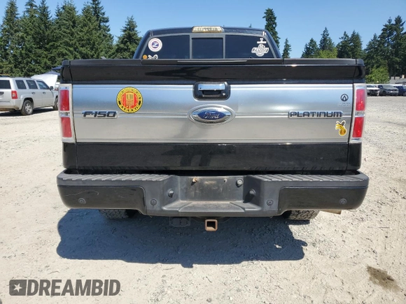 2009 Ford F-150 XL with VIN 1FTPW14V59FA44112, listed as a Copart auction lot 63436815 with 255,464 mi miles and Salvage title. Bid and sale history available at DreamBid. Image 6.