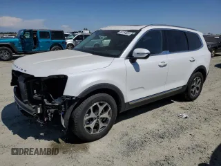 2020 Kia Telluride EX with VIN 5XYP3DHC6LG085291, listed as a Copart auction lot 60754565 with 7,695 mi miles and Salvage title. Bid and sale history available at DreamBid. Image 1.