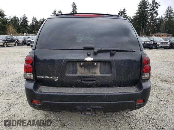 2008 Chevrolet TrailBlazer LT w/3LT with VIN 1GNDT13S882194571, listed as a Copart auction lot 45022905 with 126,389 mi miles and Salvage Title. Bid and sale history available at carsss.com. Image 6.