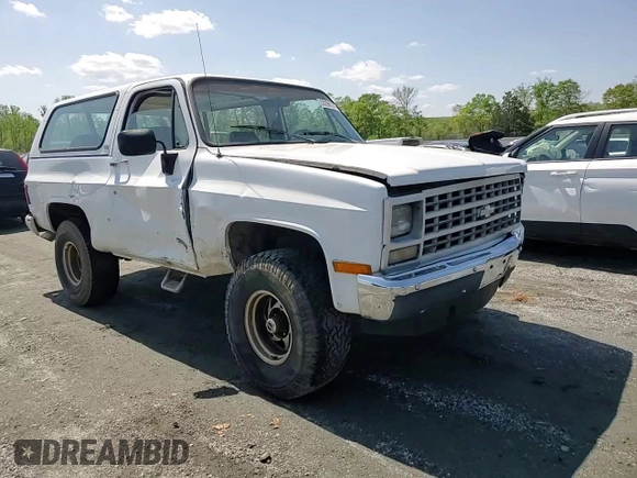 1990 Chevrolet Blazer z VIN 1GNEV18K5LF144221, wystawiony jako Copart lot #52296175 z przebiegiem 114 593 mil mil oraz Szkoda całkowita • Salvage title. Historia ofert i sprzedaży dostępna na DreamBid. Obrazek 11.