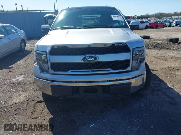 2009 Ford F-150 XL with VIN 1FTRW14879FA88633, listed as a IAAI auction lot 41904342 with 233,232 mi miles. Bid and sale history available at carsss.com. Image 12.
