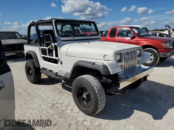 1994 Jeep Wrangler S with VIN 1J4FY19P4RP401204, listed as a Copart auction lot 77847694 with 0 mi miles and Non Repairable. Bid and sale history available at carsss.com. Image 4.