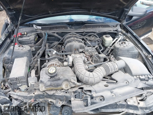 2007 Ford Mustang Deluxe with VIN 1ZVFT80N075221362, listed as a IAAI auction lot 42192106 with 110,988 mi miles and . Bid and sale history available at DreamBid. Image 10.