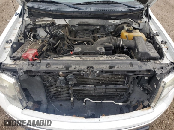 2013 Ford F-150 XL с VIN 1FTFX1CF9DFD53898, выставлен на аукционе Copart как лот 57267635 с пробегом 223 455 миль миль и Списание • Salvage title. История ставок и продаж доступна на DreamBid. Изображение 11.