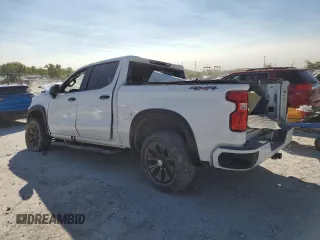 2019 Chevrolet Silverado 1500 Custom with VIN 3GCPYBEH1KG276770, listed as a Copart auction lot 74860884 with Not Provided miles and Salvage Title. Bid and sale history available at DreamBid. Image 2.