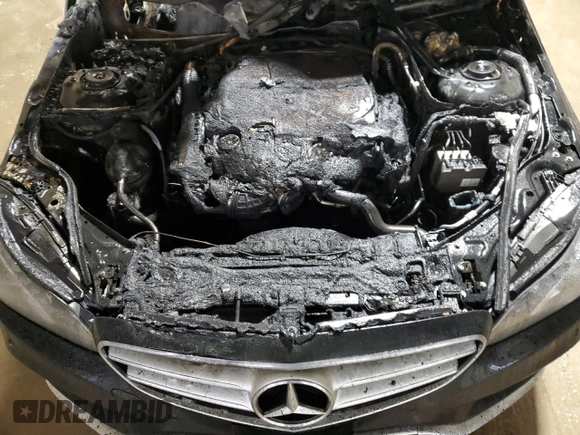 2014 Mercedes-Benz E-Class E 350 Luxury with VIN WDDHF8JB9EA904288, listed as a Copart auction lot 47801745 with 0 mi miles and Salvage Title. Bid and sale history available at carsss.com. Image 11.