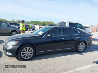 2009 Lexus LS 460 with VIN JTHCL46F495003778, listed as a IAAI auction lot 42111546 with Not Provided miles and . Bid and sale history available at DreamBid. Image 14.