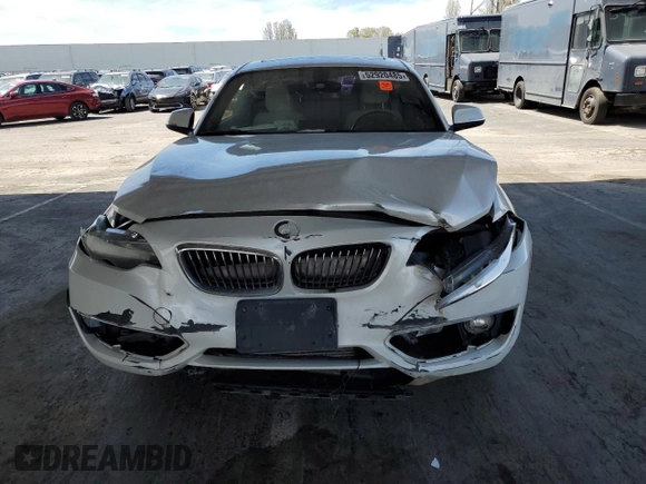 2016 BMW 2 Series 228i with VIN WBA1F9C57GV545699, listed as a Copart auction lot 52920485 with 0 mi miles and Clean Title. Bid and sale history available at carsss.com. Image 5.