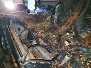 1999 GMC Denali z VIN 1GKEK13R5XR918465, wystawiony jako Copart lot #83269184 z przebiegiem Nie podano mil oraz Nie do naprawy. Historia ofert i sprzedaży dostępna na DreamBid. Obrazek 8.