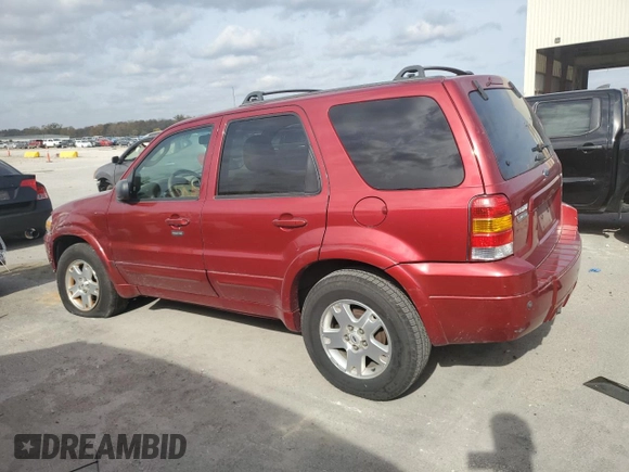 2007 Ford Escape Limited with VIN 1FMCU04117KA67060, listed as a Copart auction lot 78169454 with 134,663 mi miles and Salvage title. Bid and sale history available at DreamBid. Image 2.