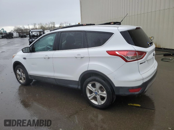 2014 Ford Escape SE with VIN 1FMCU9G96EUA46034, listed as a Copart auction lot 49678325 with 0 mi miles and Clean Title. Bid and sale history available at carsss.com. Image 2.