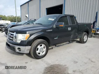 2011 Ford F-150 XL with VIN 1FTFX1CT1BFA69667, listed as a Copart auction lot 47744355 with 176,779 mi miles and Salvage Title. Bid and sale history available at carsss.com. Image 1.