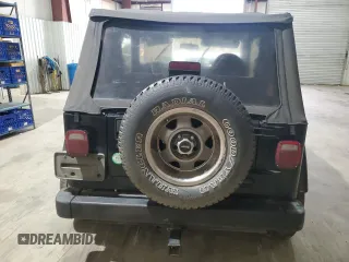 2001 Jeep Wrangler Sport with VIN 1J4FA49S01P352257, listed as a Copart auction lot 47084425 with 114,414 mi miles and Salvage Title. Bid and sale history available at carsss.com. Image 6.