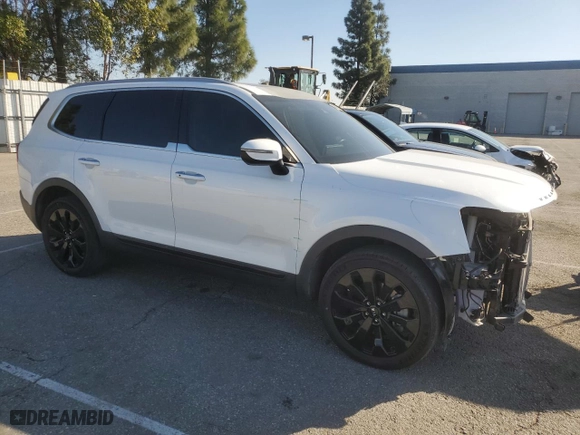 2020 Kia Telluride S with VIN 5XYP6DHC2LG003788, listed as a Copart auction lot 46717975 with 54,814 mi miles and Salvage Title. Bid and sale history available at carsss.com. Image 4.