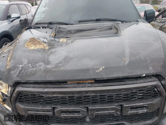 2017 Ford F-150 Raptor with VIN 1FTFW1RG5HFC33542, listed as a IAAI auction lot 41991276 with Not Provided miles and . Bid and sale history available at carsss.com. Image 10.