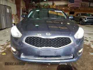 2014 Kia Cadenza Premium with VIN KNALN4D79E5124935, listed as a Copart auction lot 48229935 with 161,377 mi miles and Salvage Title. Bid and sale history available at carsss.com. Image 5.