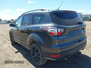 2017 Ford Escape SE with VIN 1FMCU0G92HUF10596, listed as a IAAI auction lot 42038215 with 145,735 mi miles. Bid and sale history available at carsss.com. Image 3.