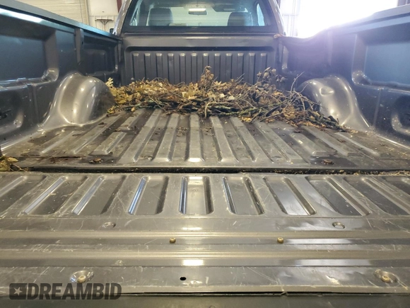 2010 Ford F-150 XL with VIN 1FTMF1EW4AKA18140, listed as a Copart auction lot 62378325 with 132,807 mi miles and Salvage title. Bid and sale history available at DreamBid. Image 10.