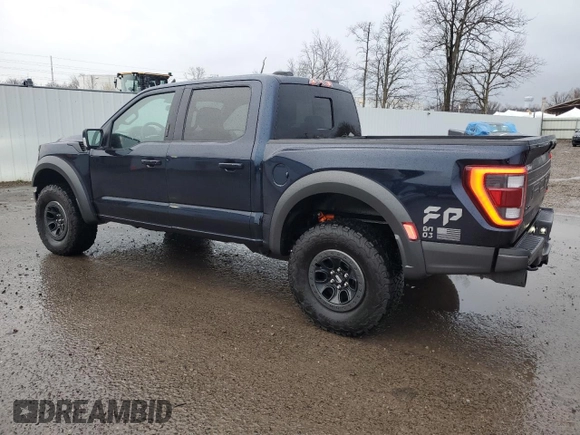 2023 Ford F-150 Raptor with VIN 1FTFW1RG0PFD16861, listed as a Copart auction lot 52928285 with 19,454 mi miles and Salvage Title. Bid and sale history available at DreamBid. Image 2.