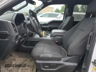 2019 Ford F-150 XL with VIN 1FTEX1CP1KFB02018, listed as a Copart auction lot 57113545 with 116,722 mi miles and Salvage title. Bid and sale history available at DreamBid. Image 7.