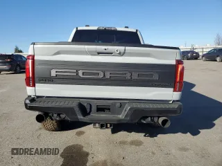 2024 Ford F-150 Raptor with VIN 1FTFW1RG9RFA65096, listed as a Copart auction lot 43702405 with 21,959 mi miles and Salvage Title. Bid and sale history available at DreamBid. Image 6.