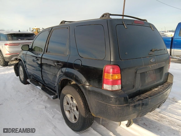 2005 Ford Escape XLT with VIN 1FMYU93165KC92924, listed as a Copart auction lot 46076435 with 0 mi miles and Salvage Title. Bid and sale history available at carsss.com. Image 2.