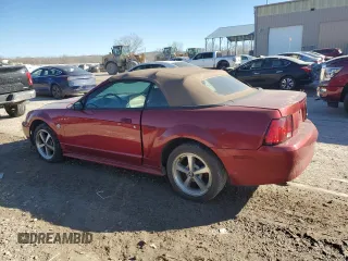 2004 Ford Mustang Deluxe with VIN 1FAFP44684F168134, listed as a Copart auction lot 46898385 with 124,391 mi miles and Salvage Title. Bid and sale history available at carsss.com. Image 2.