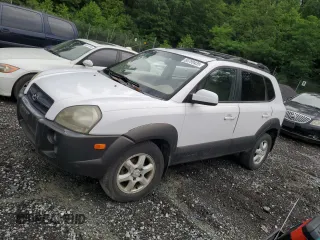 2005 Hyundai Tucson GLS with VIN KM8JN72D15U215381, listed as a Copart auction lot 60799435 with 191,085 mi miles and Salvage title. Bid and sale history available at DreamBid. Image 1.