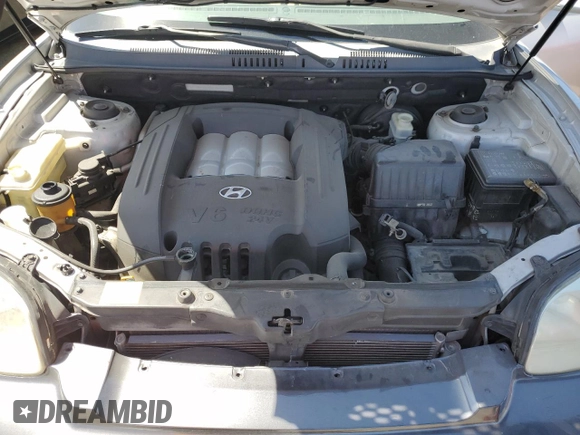 2004 Hyundai Santa Fe GLS with VIN KM8SC13D44U649220, listed as a Copart auction lot 69296204 with 157,135 mi miles and Salvage Title. Bid and sale history available at carsss.com. Image 11.