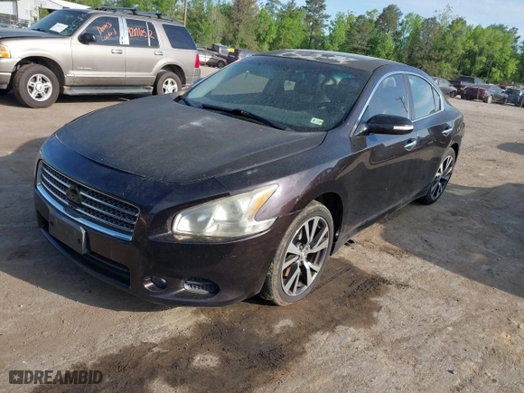 2010 Nissan Maxima 3.5 SV w/Sport Pkg with VIN 1N4AA5AP1AC860442, listed as a IAAI auction lot 42110964 with 189,392 mi miles. Bid and sale history available at carsss.com. Image 2.