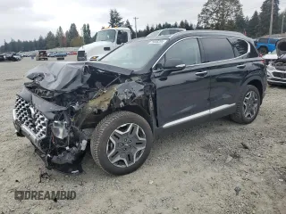 2022 Hyundai Santa Fe Hybrid SEL Premium with VIN KM8S3DA11NU029629, listed as a Copart auction lot 75606294 with 44,110 mi miles and Salvage Title. Bid and sale history available at carsss.com. Image 1.