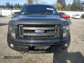 2013 Ford F-150 XL with VIN 1FTFX1ETXDFC22191, listed as a Copart auction lot 53003795 with 183,975 mi miles and Clean Title. Bid and sale history available at carsss.com. Image 5.
