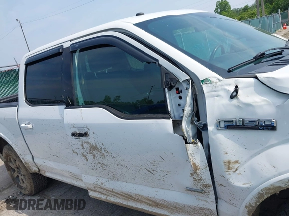 2017 Ford F-150 XL z VIN 1FTEW1EP1HFA72687, wystawiony jako IAAI lot #42483174 z przebiegiem 197 069 mil mil oraz . Historia ofert i sprzedaży dostępna na DreamBid. Obrazek 13.