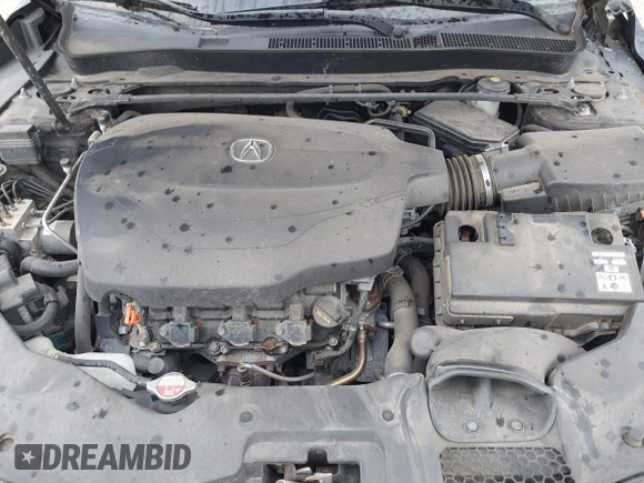 2016 Acura TLX Technology with VIN 19UUB3F52GA003147, listed as a IAAI auction lot 42671660 with 141,178 mi miles and . Bid and sale history available at DreamBid. Image 10.