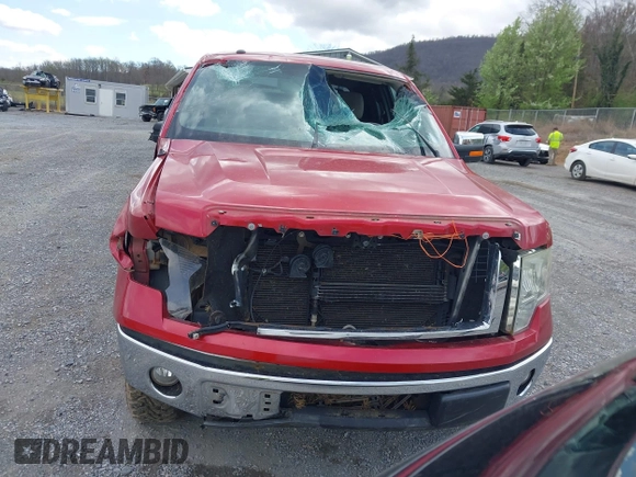 2010 Ford F-150 XL with VIN 1FTEX1C83AFC15315, listed as a IAAI auction lot 41916777 with 196,131 mi miles. Bid and sale history available at carsss.com. Image 13.