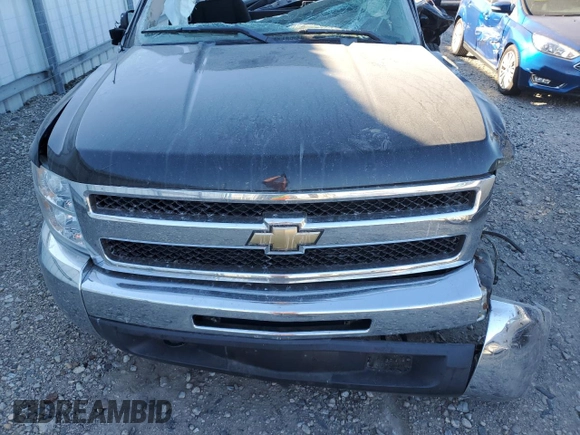 2012 Chevrolet Silverado 1500 LT with VIN 1GCNKSE00CZ157872, listed as a Copart auction lot 74518834 with Not Provided miles and Clean Title. Bid and sale history available at DreamBid. Image 11.