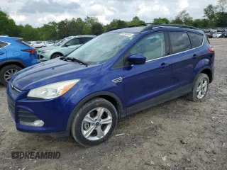 2013 Ford Escape SE with VIN 1FMCU9G92DUD12339, listed as a Copart auction lot 54540055 with 123,950 mi miles and Salvage Title. Bid and sale history available at DreamBid. Image 1.