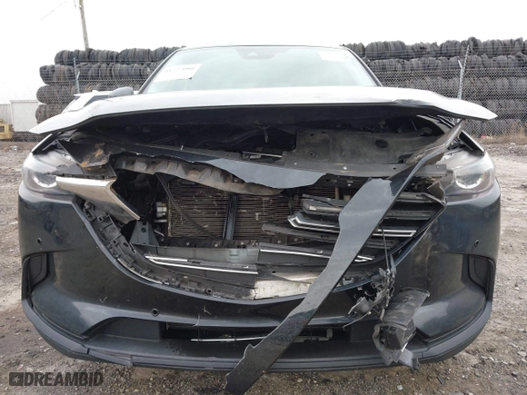 2019 Mazda CX-9 Touring with VIN JM3TCBCY2K0326376, listed as a IAAI auction lot 41727080 with 100,339 mi miles. Bid and sale history available at carsss.com. Image 6.