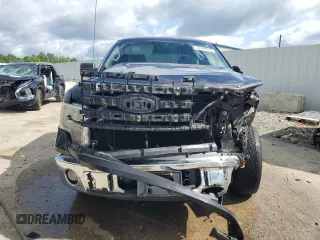 2010 Ford F-150 XL with VIN 1FTEX1C80AFA25472, listed as a Copart auction lot 57462045 with 130,692 mi miles and Salvage title. Bid and sale history available at DreamBid. Image 5.