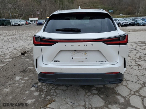 2024 Lexus NX with VIN 2T2GGCEZ9RC058514, listed as a Copart auction lot 81326054 with 18,952 mi miles and Salvage Title. Bid and sale history available at carsss.com. Image 6.
