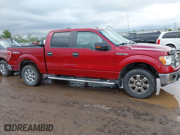 2013 Ford F-150 XL z VIN 1FTFW1EF3DFD32402, wystawiony jako IAAI lot #42319868 z przebiegiem 157 124 mil mil oraz . Historia ofert i sprzedaży dostępna na DreamBid. Obrazek 13.
