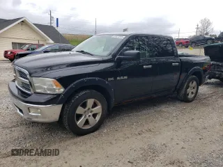2009 Dodge 1500 SLT with VIN 1D3HV13T19S702739, listed as a Copart auction lot 55923585 with 125,251 mi miles and Clean Title. Bid and sale history available at carsss.com. Image 1.