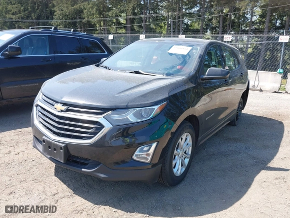 2019 Chevrolet Equinox LS with VIN 2GNAXHEV7K6212446, listed as a IAAI auction lot 42004161 with 123,863 mi miles. Bid and sale history available at carsss.com. Image 18.